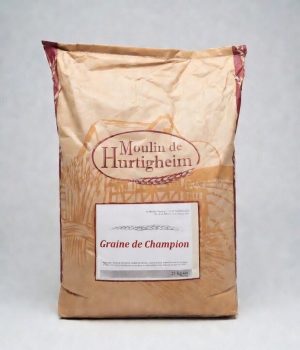 Graine de champion